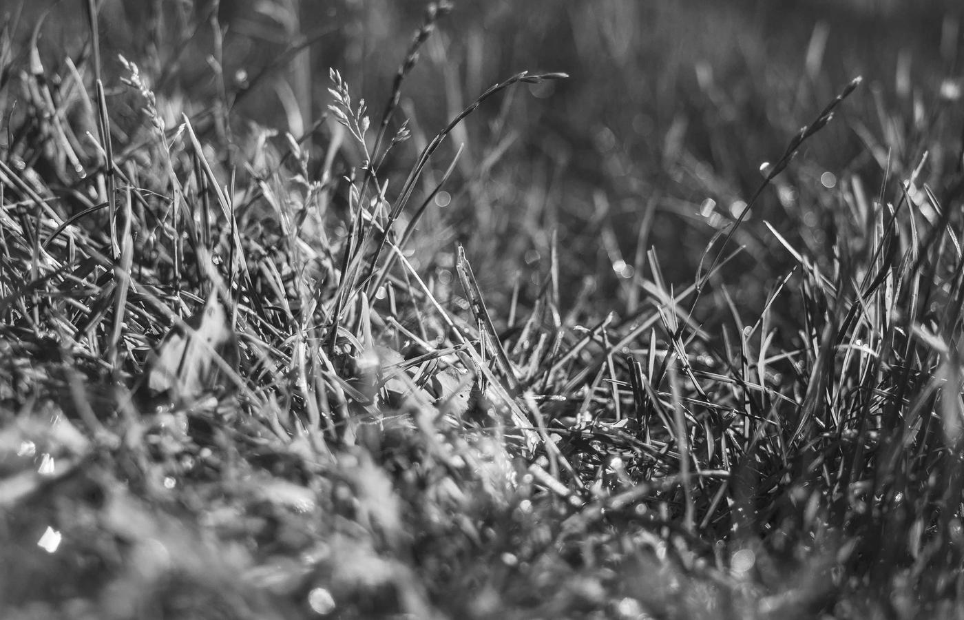 Family Rental Near Schools